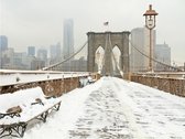 Fotobehang - Besneeuwde brug in New York.