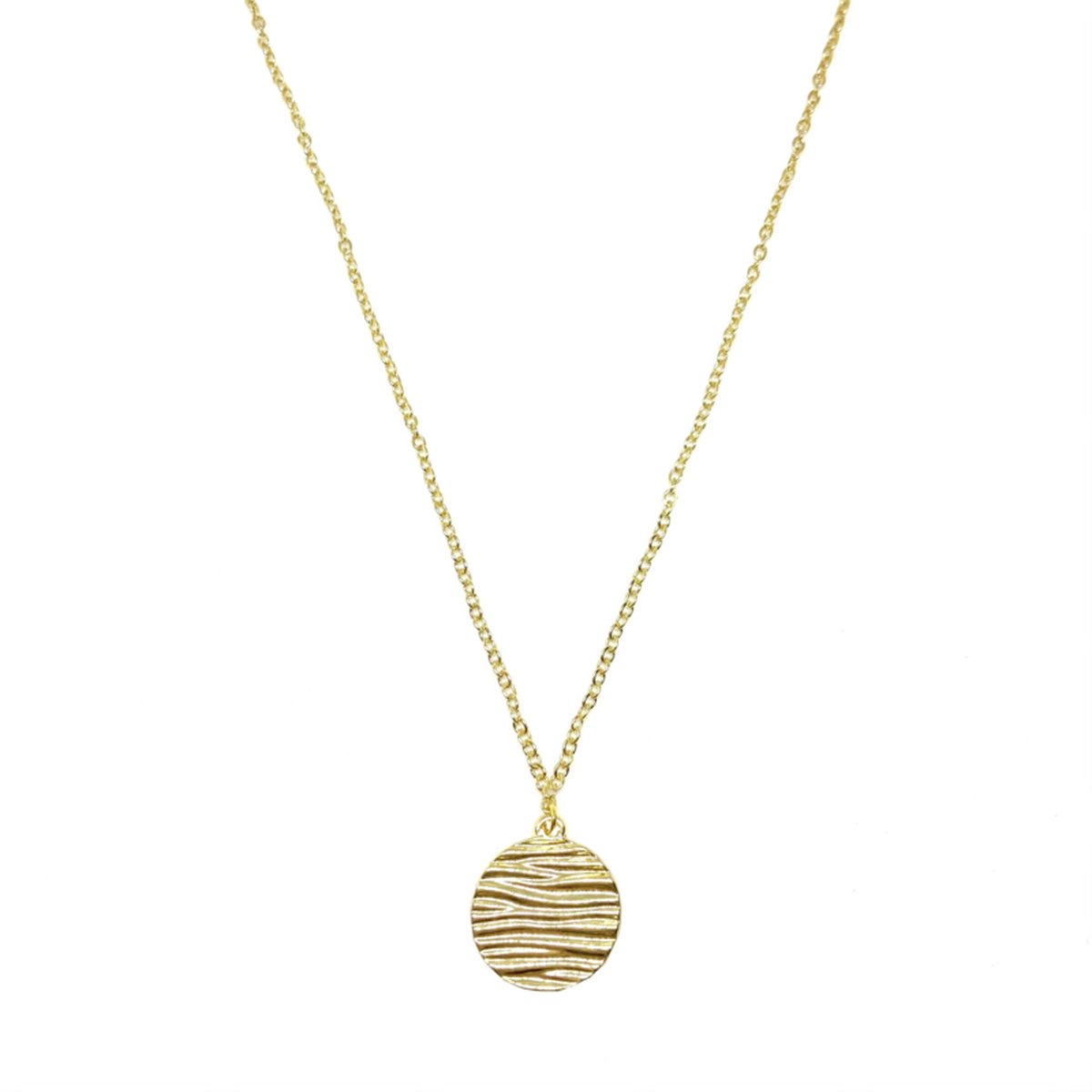 Zebra coin necklace - gold
