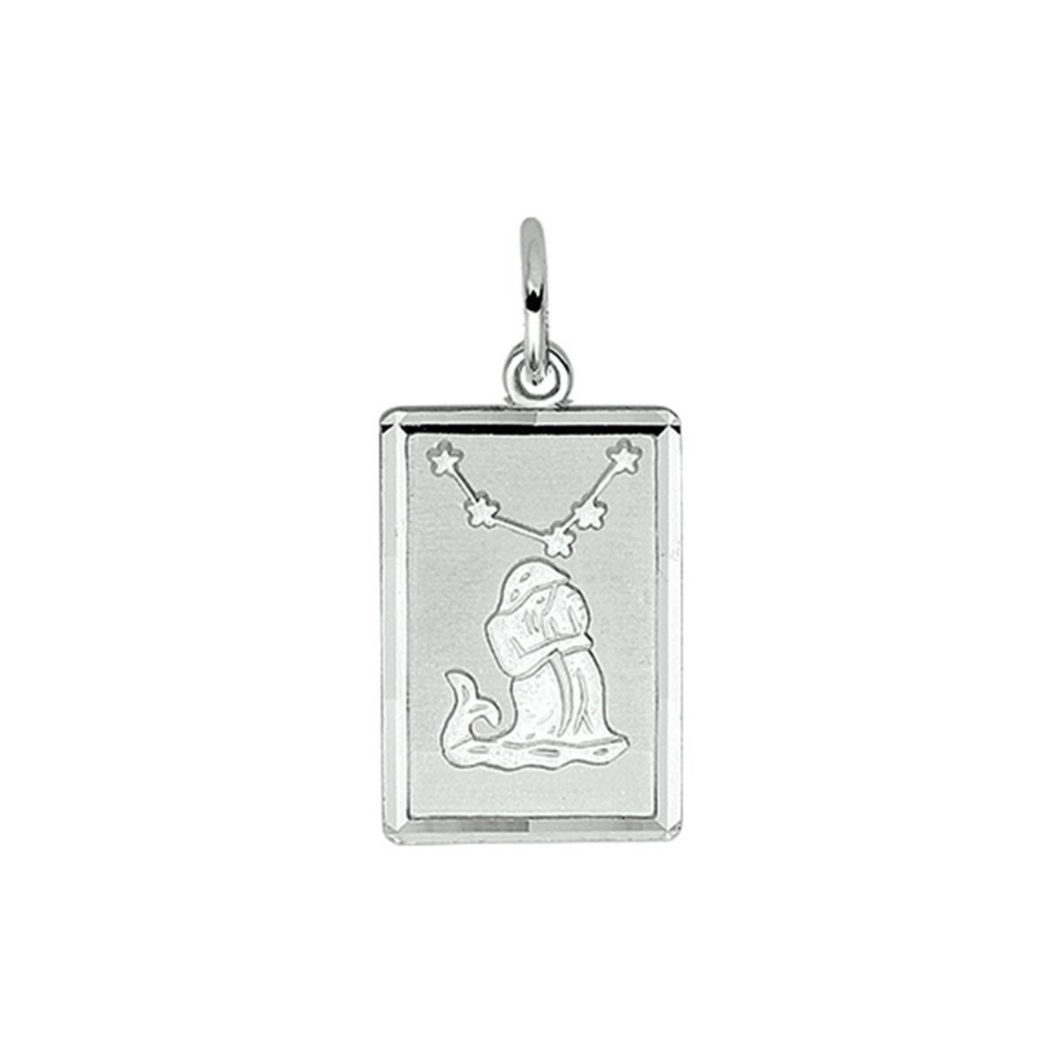 Zilveren hanger sterrenbeeld gediamanteerd waterman