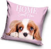 Cavalier-kingcharlesspaniël - puppy - Home sweet home - sierkussensloop - 40 x 40 cm