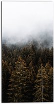 WallClassics - Dibond - Mist boven Boomtoppen - 50x100 cm Foto op Aluminium (Met Ophangsysteem)