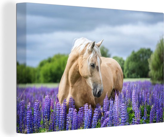 Peintures sur Toile Cheval - Fleurs - Violet - 120x80 cm - Décoration murale