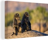 Famille babouin à l'affût Toile 60x40 cm - Tirage photo sur toile (Décoration murale salon / chambre) / Peintures sur toile Animaux