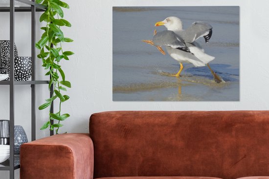 Une image d'un goéland argenté attrapant une étoile de mer Toile 80x60 cm - Tirage photo sur toile (Décoration murale salon / chambre)