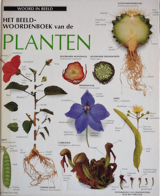 9789065905765 - Het Beeldwoordenboek van de planten