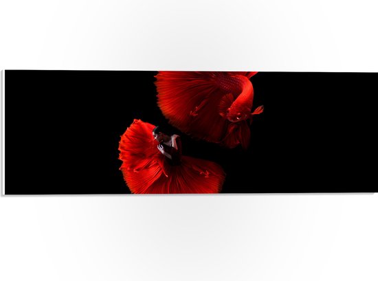 WallClassics - PVC Schuimplaat - Danser met Rode Jurk en Vis - 60x20 cm Foto op PVC Schuimplaat (Met Ophangsysteem)