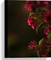 WallClassics - Canvas  - Roze Bloemen - 30x40 cm Foto op Canvas Schilderij (Wanddecoratie op Canvas)