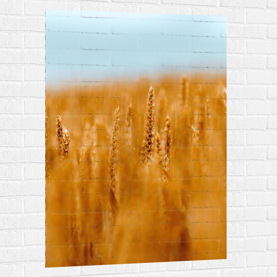 WallClassics - Muursticker - Graanlandschap - 80x120 cm Foto op Muursticker
