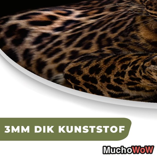 Décoration murale bio - Décoration murale en plastique - Tableau bio - Animaux sauvages - Panthère - Portrait - Zwart - Animaux- 90x90 cm - Forme miroir bio sur plastique