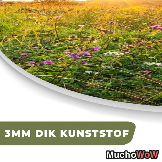 Ovale mural - Décoration murale en plastique - Tableau ovale - Soleil - Herbe - Fleurs - 40x60 cm - Forme miroir ovale sur plastique