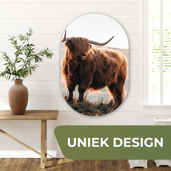 Ovale mural - Ovale mural - Décoration murale murale en plastique - Tableau ovale - Highlander écossais - Animaux - Rural - Paysage - Vache - Nature - 60x90 cm - Forme miroir ovale sur plastique