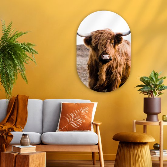 Ovale Mural - Ovale Mural - Décoration murale Plastique - Peinture Ovale - Highlander écossais - Paysage - Vache - Marron - Animaux - Nature - 60x90 cm - Forme miroir ovale sur plastique