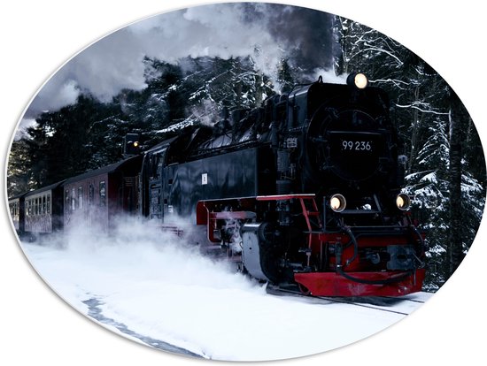 WallClassics - Panneau de mousse PVC ovale - Vieux train à vapeur dans une forêt enneigée - 68x51 cm Photo sur ovale (avec système de suspension)