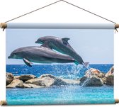 WallClassics - Textielposter - Springende Dolfijnen Boven het Water - 60x40 cm Foto op Textiel