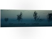 WallClassics - PVC Schuimplaat - Paarden in de Mist - 120x40 cm Foto op PVC Schuimplaat (Met Ophangsysteem)