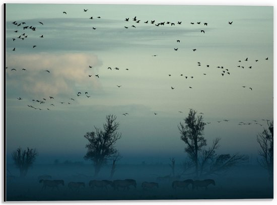 WallClassics - Dibond - Paarden in de Mist - 40x30 cm Foto op Aluminium (Met Ophangsysteem)