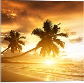 WallClassics - Acrylglas - Palmbomen op het Strand bij Zonsondergang - 50x50 cm Foto op Acrylglas (Met Ophangsysteem)