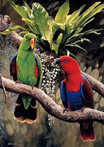 Diamond painting - Canvasdoek met voorbedrukte afbeelding - 30 x 40 cm papegaai