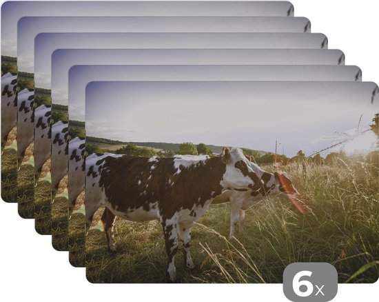 Placemats Coated leer | Place Add