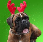 Kerstkleding Hond - Rendier Gewei |  Hondenkleding - Hondenkostuum - Kerstcadeau - Kerst Cadeau Huisdier