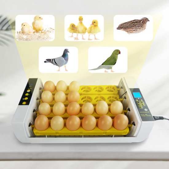 36 Eieren Broedmachine – Automatische Incubator Met LED Display En Eierdraaisysteem