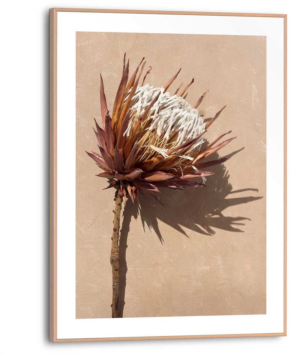 REINDERS Schilderij Bloem Protea - 40 x 30 - Hout - REINDERS bruin Hout