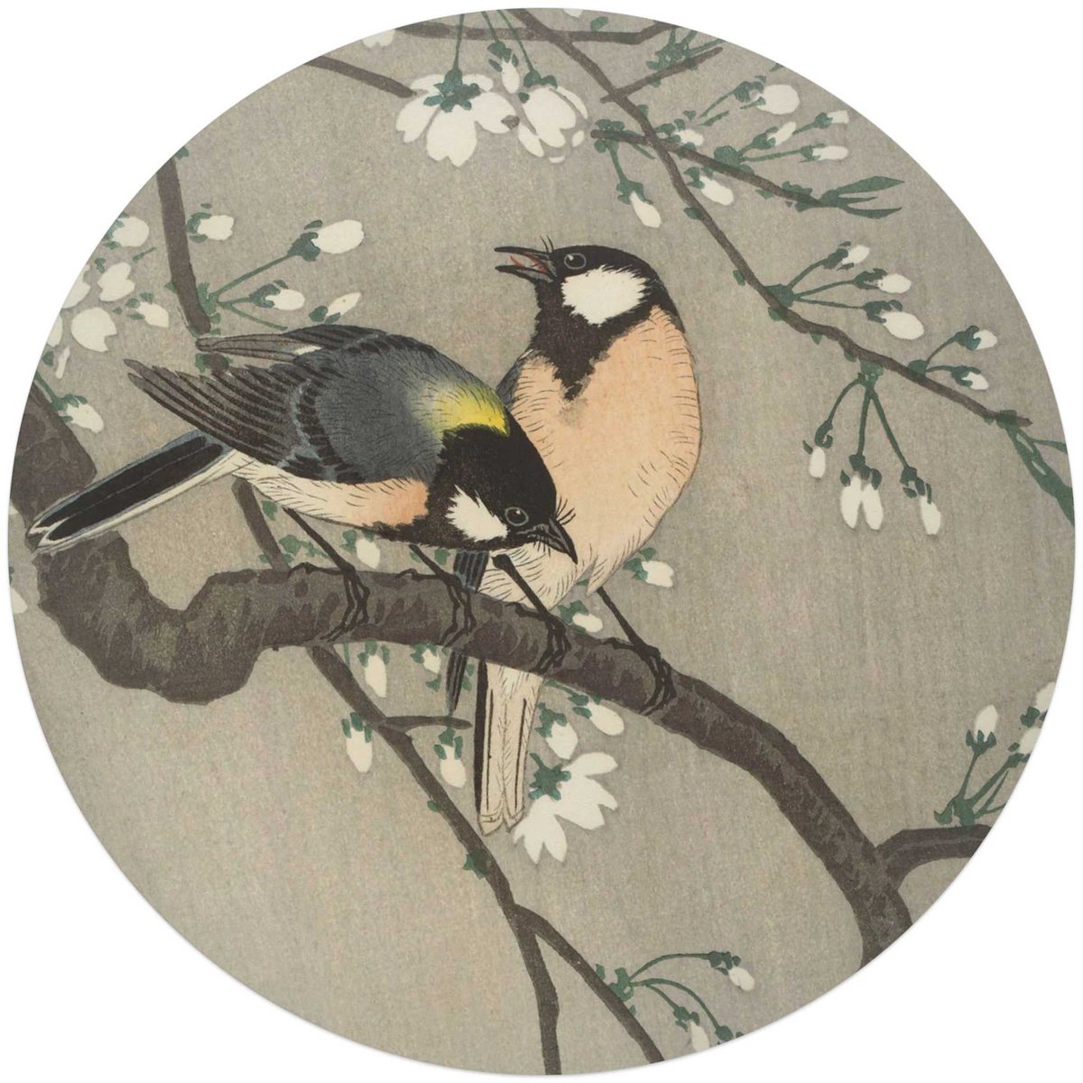 Glasschilderij Ohara Koson - Koolmezen op bloesemtak - Ø 70 - Glas - REINDERS