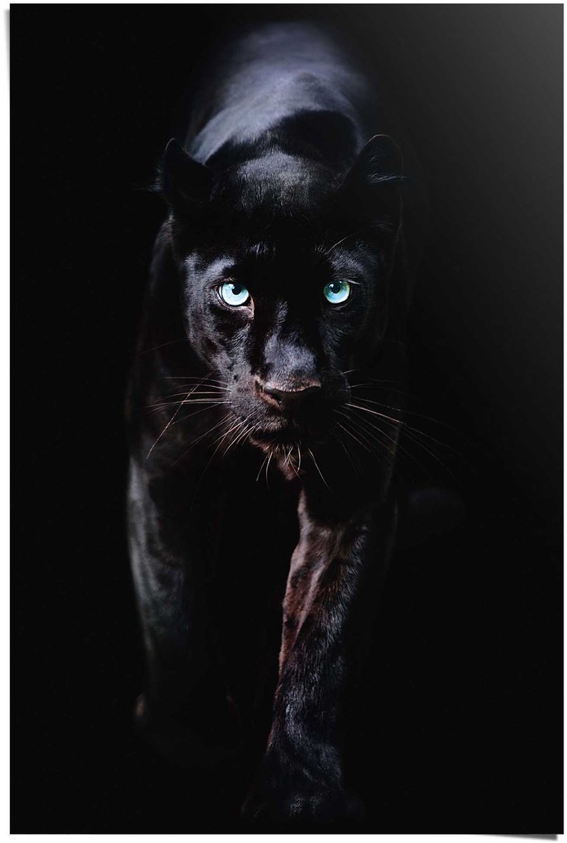 Panther Puma Bebe Noir Black Panther Peinture 60 X 90 Cm Bol