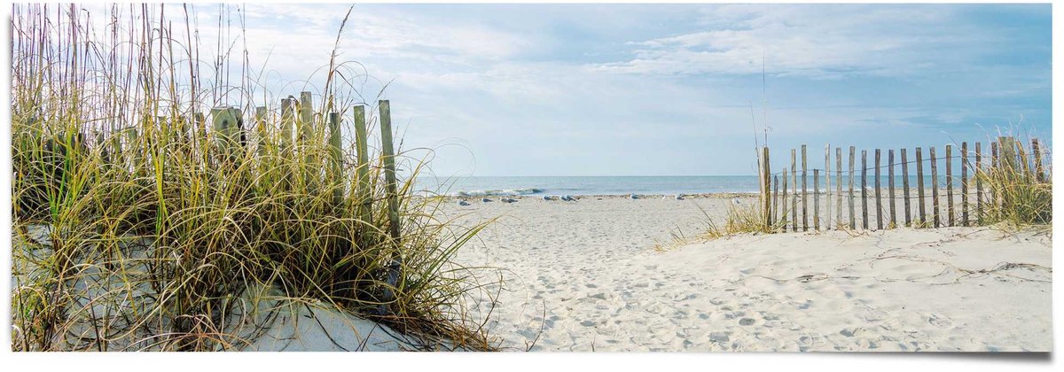 REINDERS Poster Duinen en strand - 53 x 158 - Papier - REINDERS Beige