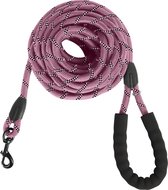 KCMultisupplies Laisse pour Chien 8 Mètres - Laisse Réfléchissante ...