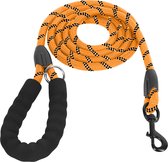 KCMultisupplies Hondenriem 2 Meter - Reflecterende Hondenlijn - Met Gevoerd Handvat - Geschikt voor Grote en Kleine Honden - Nylon Looplijn