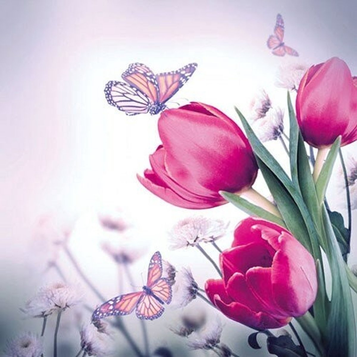 Ambiente - Lunch servetten - Butterfly & Tulips