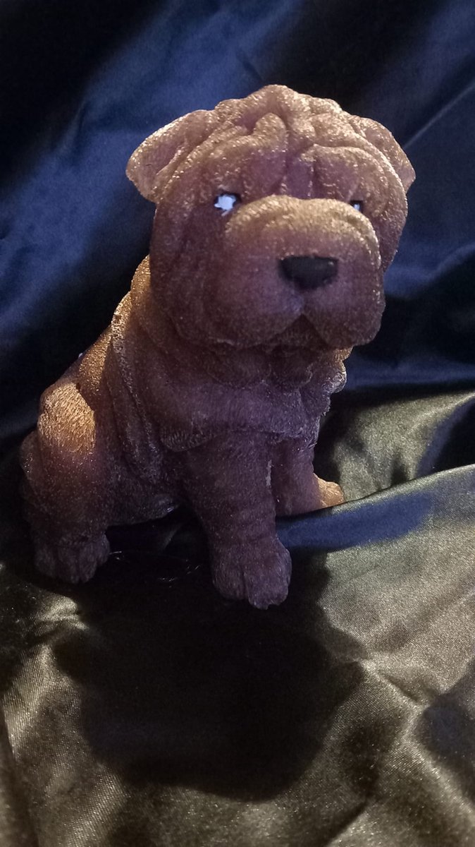 starwolf, lampje sharpei hond, geschenk, decoratie