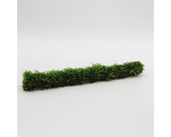 Bamboostok met Javamos 20 cm - Aquarium mos - Aquariumplant - Aquarium decoratie - Moerings