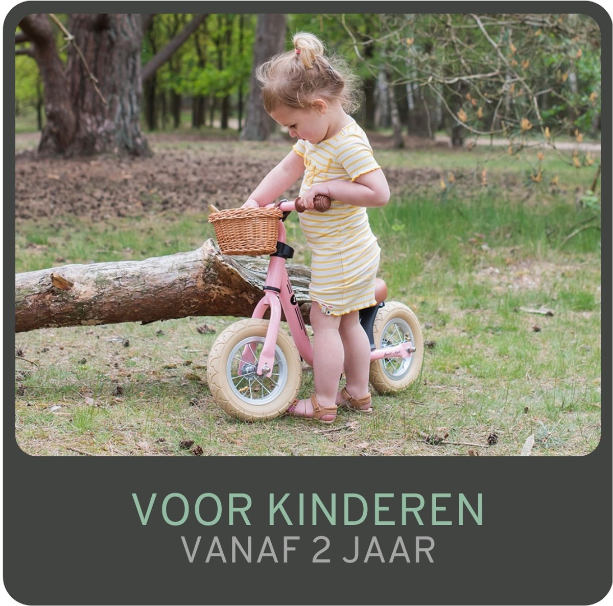 Bandits & Angels Metalen Loopfiets Met Mandje Starter Retro Roze met Voetenplank vanaf 2 Jaar thumbnail 5
