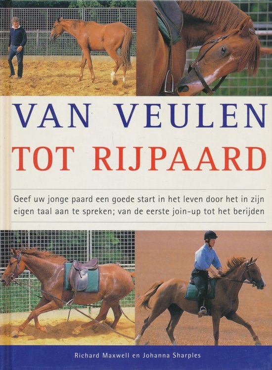 Van veulen tot rijpaard - cover