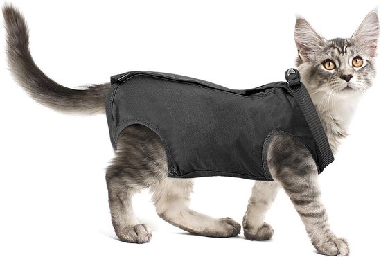 Molain Professioneel herstelpak voor katten, na operaties, voor buikwonden of huidziekten, alternatief voor E-kraag voor katten, anti-likken, pyjamapak, kittens, chirurgie, herstelpak (blauw, maat S