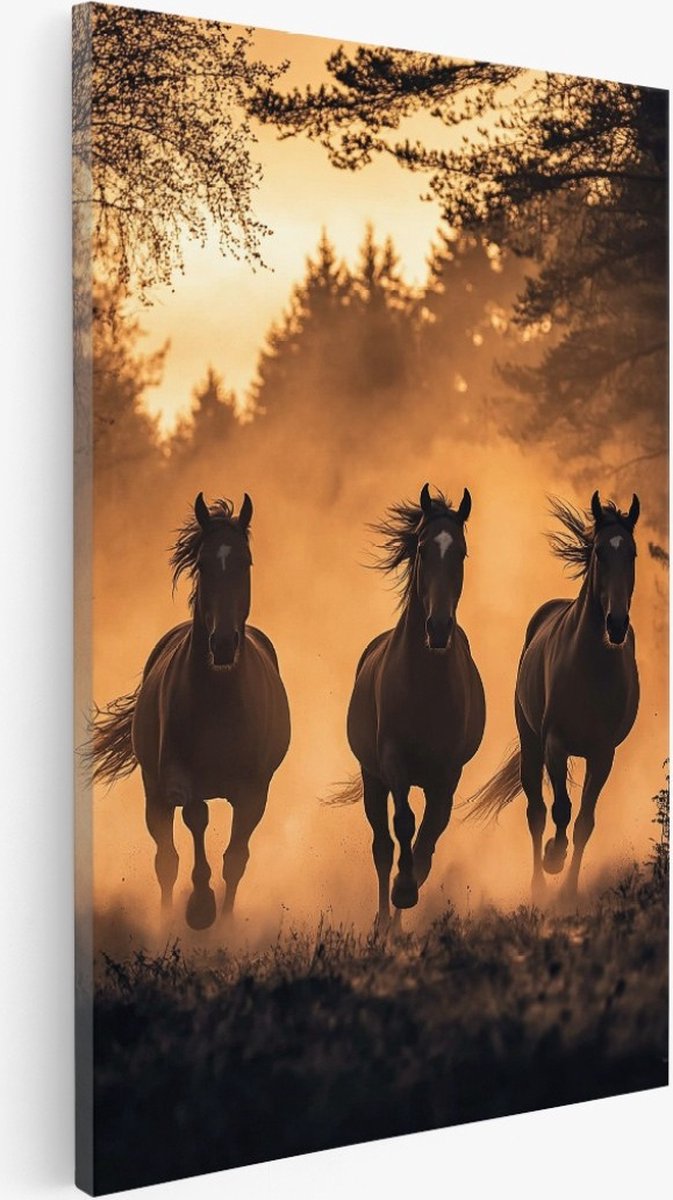 Saammp Canvas Schilderij - 3 paarden in galop - Zonsondergang - Dieren - 20x30 - Foto op canvas - Wanddecoratie - Muurdecoratie Woonkamer - Slaapkamer decoratie - Canvas Print Multicolor