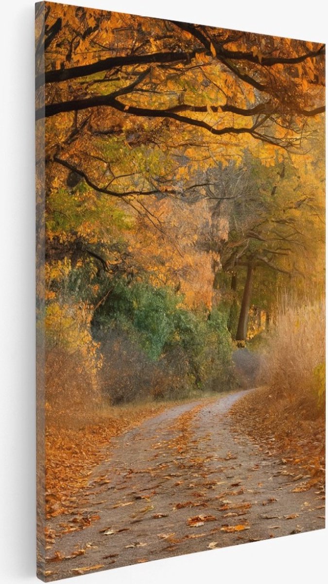 Saammp Canvas Schilderij - Weg door het bos - Herfst - Landschap - Natuur - 30x40 - Foto op canvas - Wanddecoratie - Muurdecoratie Woonkamer - Slaapkamer decoratie - Canvas Print Multicolor