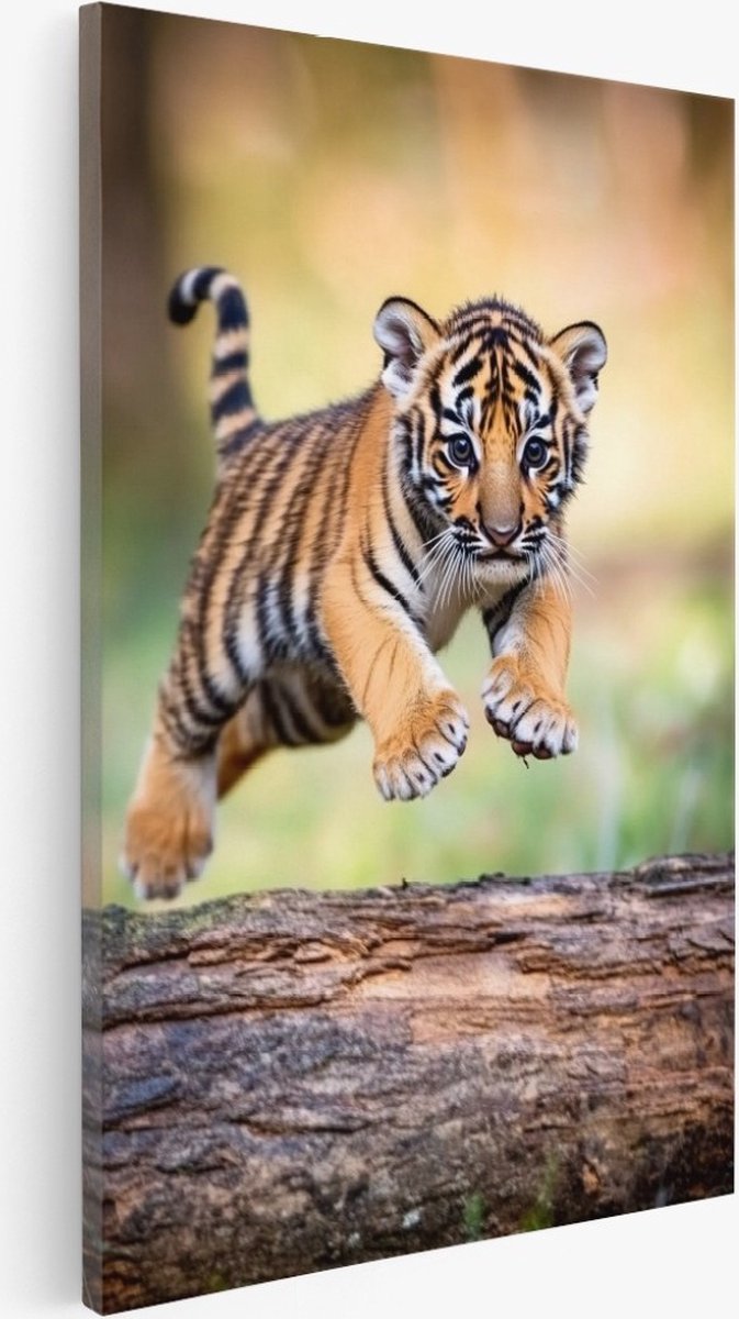 Saammp Canvas Schilderij - Tijger welp op boomstronk - Natuur - Dieren - 80x120 - Foto op canvas - Wanddecoratie - Muurdecoratie Woonkamer - Slaapkamer decoratie - Canvas Print Multicolor
