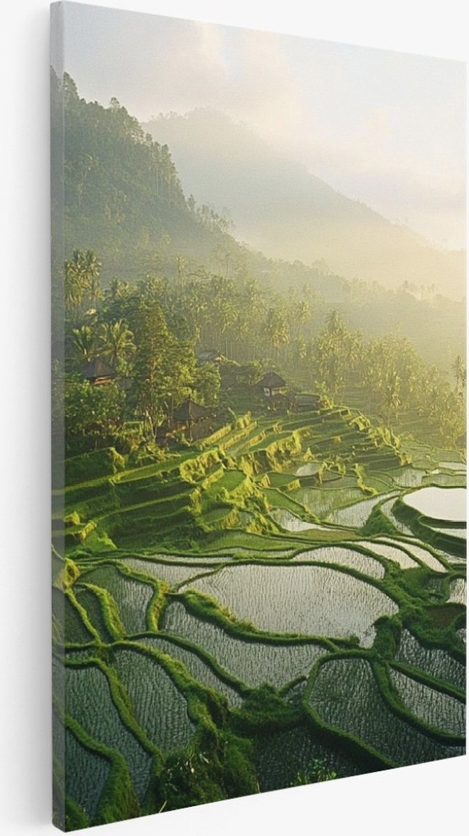 Saammp Canvas Schilderij - Natuur - Palmboom - landschap - 80x120 - Foto op canvas - Wanddecoratie - Muurdecoratie Woonkamer - Slaapkamer decoratie - Canvas Print Multicolor