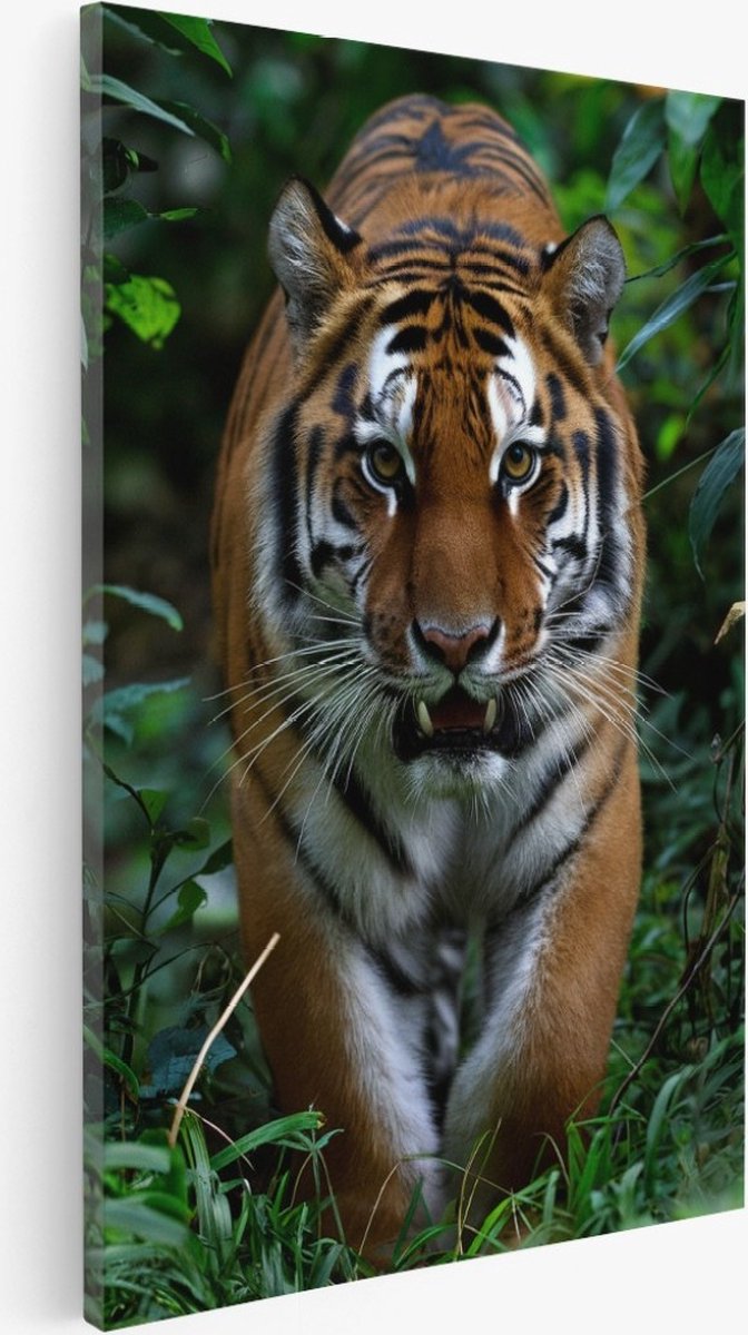 Saammp Canvas Schilderij - Tijger tussen de planten - Natuur - Dieren - 40x60 - Foto op canvas - Wanddecoratie - Muurdecoratie Woonkamer - Slaapkamer decoratie - Canvas Print Multicolor
