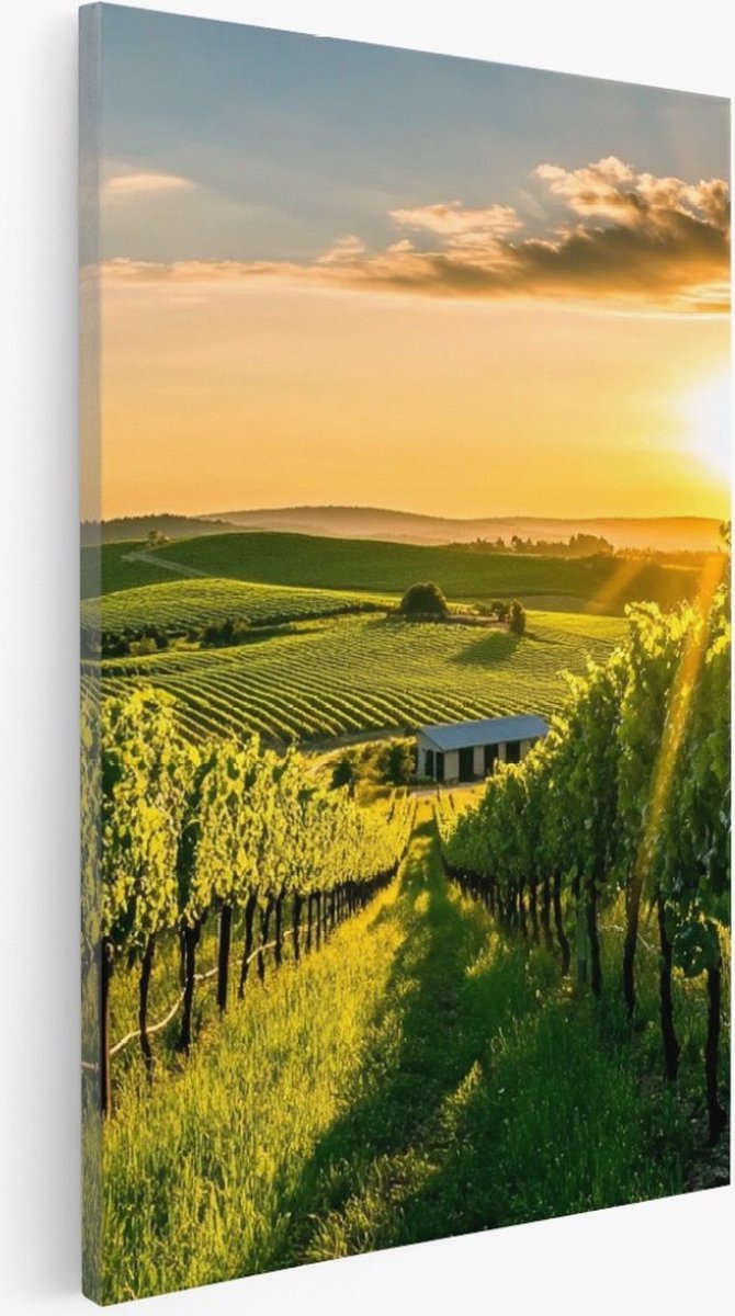 Saammp Canvas Schilderij - Wijngaarde met zonsondergang - Natuur - Landschap - 30x45 - Foto op canvas - Wanddecoratie - Muurdecoratie Woonkamer - Slaapkamer decoratie - Canvas Print Multicolor