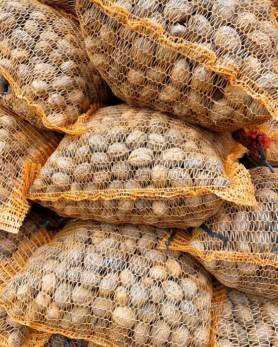 walnoten in dop - 5 kilo