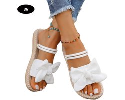 Livano Slippers Dames - Teenslippers - Flip Flops - Comfortabel - Zomer - Wit - 36