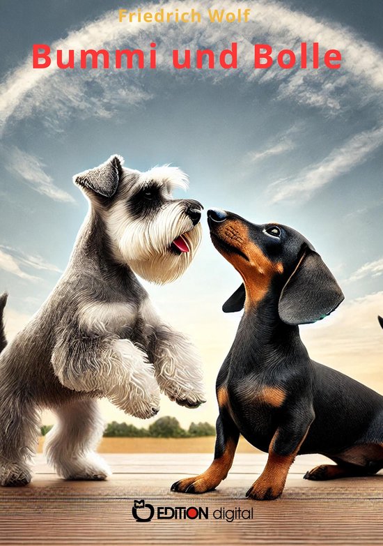 Bummi und Bolle - cover