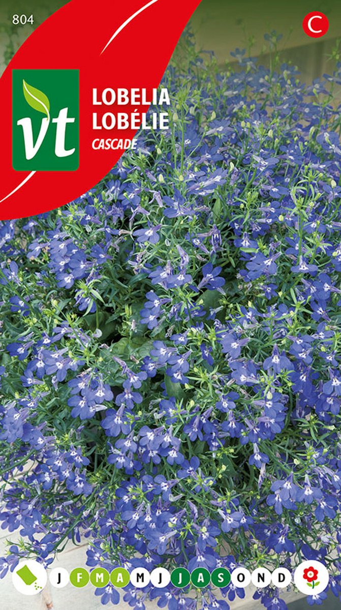 Lobelia Cascade zaden - langdurig bloeiende borderplant