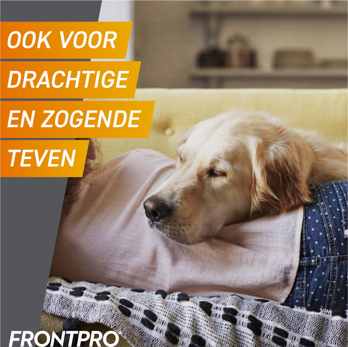 Frontpro Anti vlooien kauwtablet - Hond M 4-10 kg - 3 tabletten — afbeelding 7