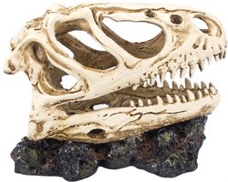 AC T-Rex Dinosaurus Schedel DeLuxe Klein – Meest verkocht – Realistische Aquarium en terrarium decoratie – Hoogwaardig Polyresin Ornament