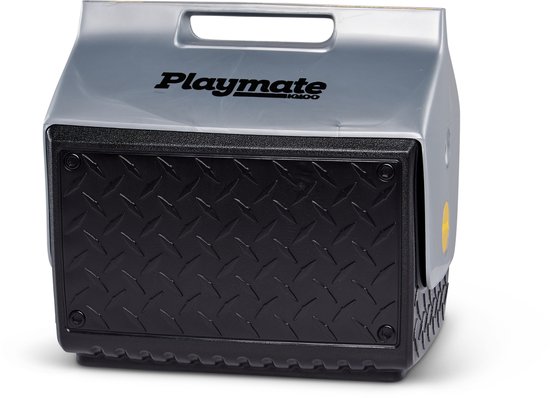 Zwarte koelbox met geruit patroon staat op een picknicktafel naast twee mannen die eten en drinken.